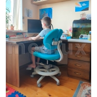 Эргономическое детское кресло Mealux Duo Kid Plus
